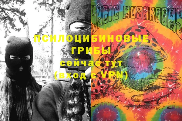 первитин Алексеевка