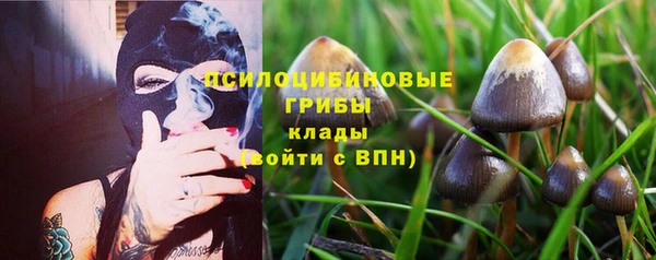 первитин Алексеевка