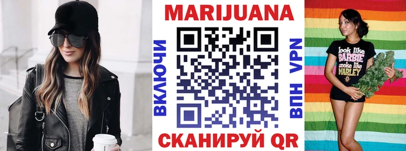 Каннабис планчик  Северская 